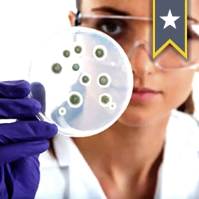 A scientist looks at a petri dish
