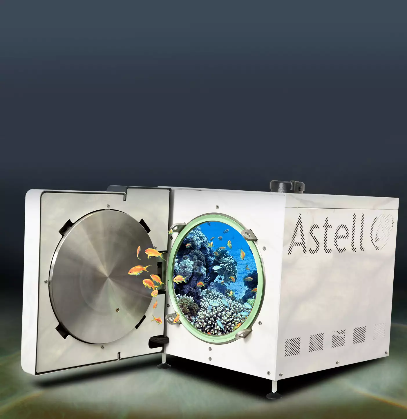 News article image: The AMB Ecofill Benchtop Autoclave containing an bio-diverse ocean