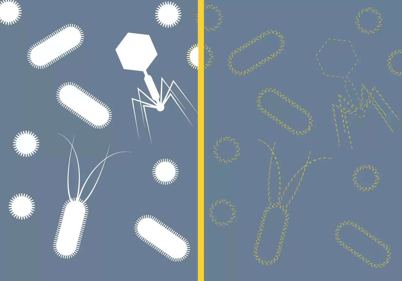 News article image: From microbes to sterile