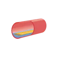 Integral Steam Generator