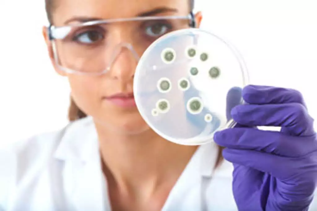 What is sterilization?