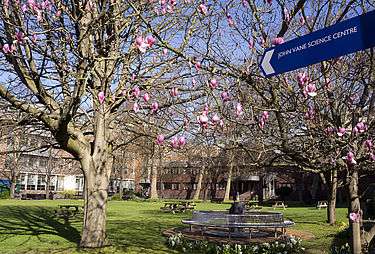 Institut Barts contre le cancer